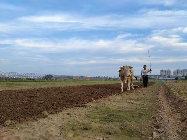 说一个笑话50字的,说一个笑话100字