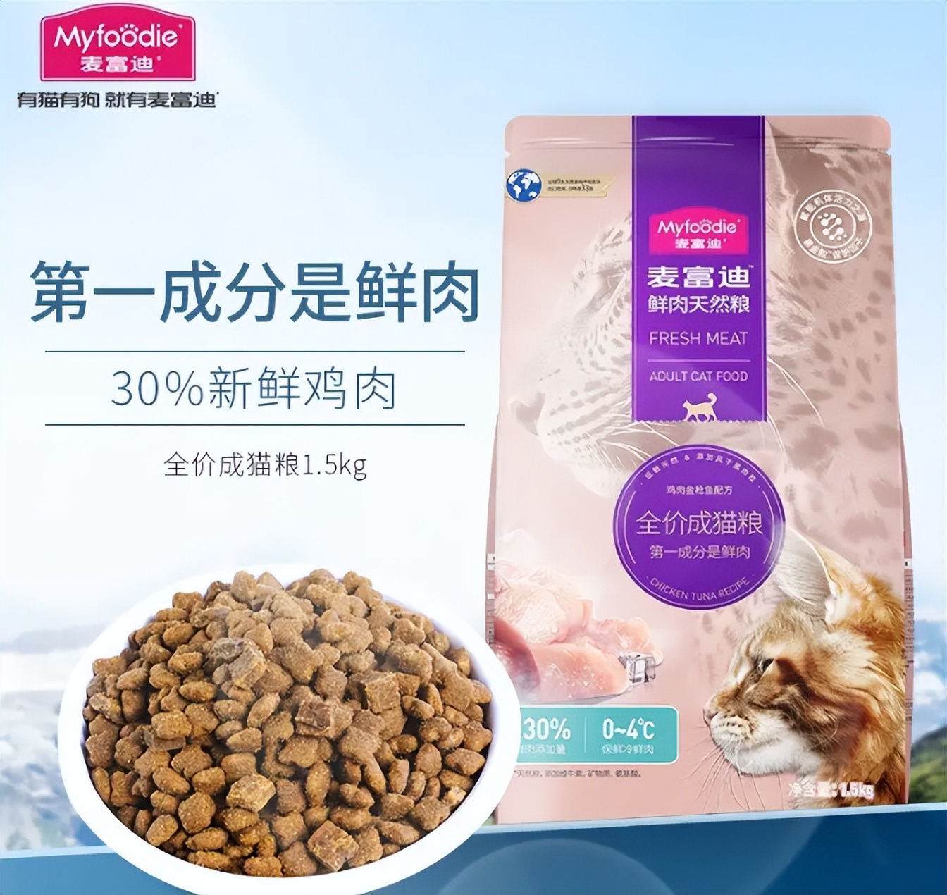 新手养猫不迷路,第一次养猫准备这些就够了