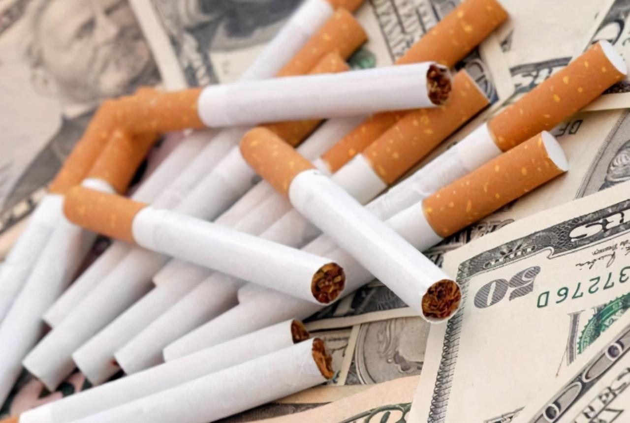 雪茄最贵价值多少一根,雪茄为什么那么贵还难抽