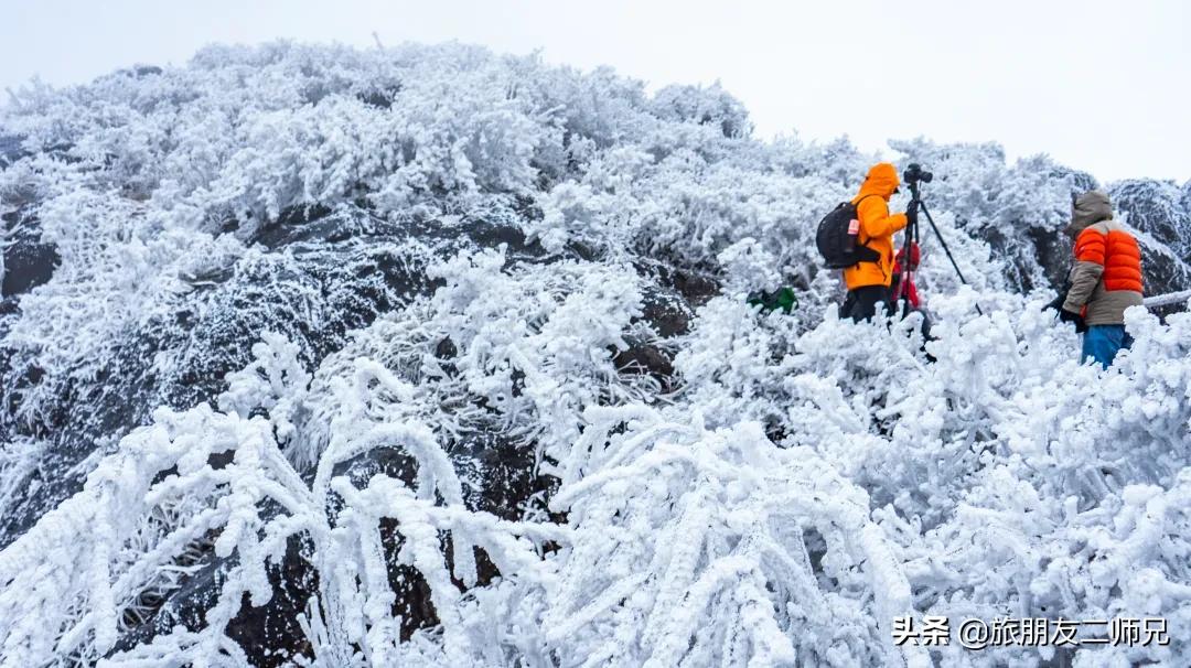 清远金子山旅游攻略看雾凇,广东金子山雪景旅游攻略