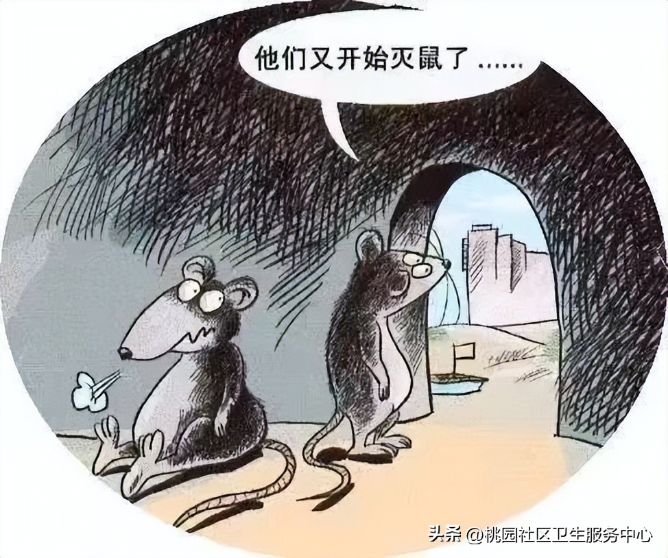 流行性出血热防治知识,传染病及其预防科普类视频