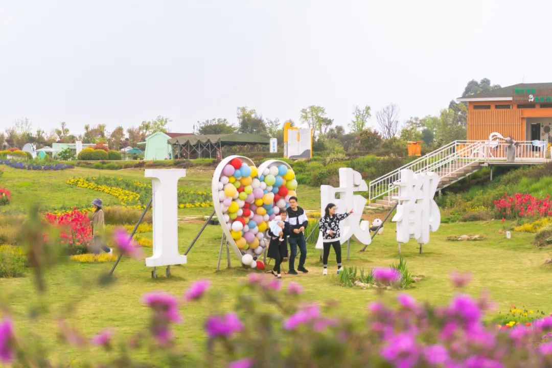 踏青露营地推荐,空港花田古朴森林露营地