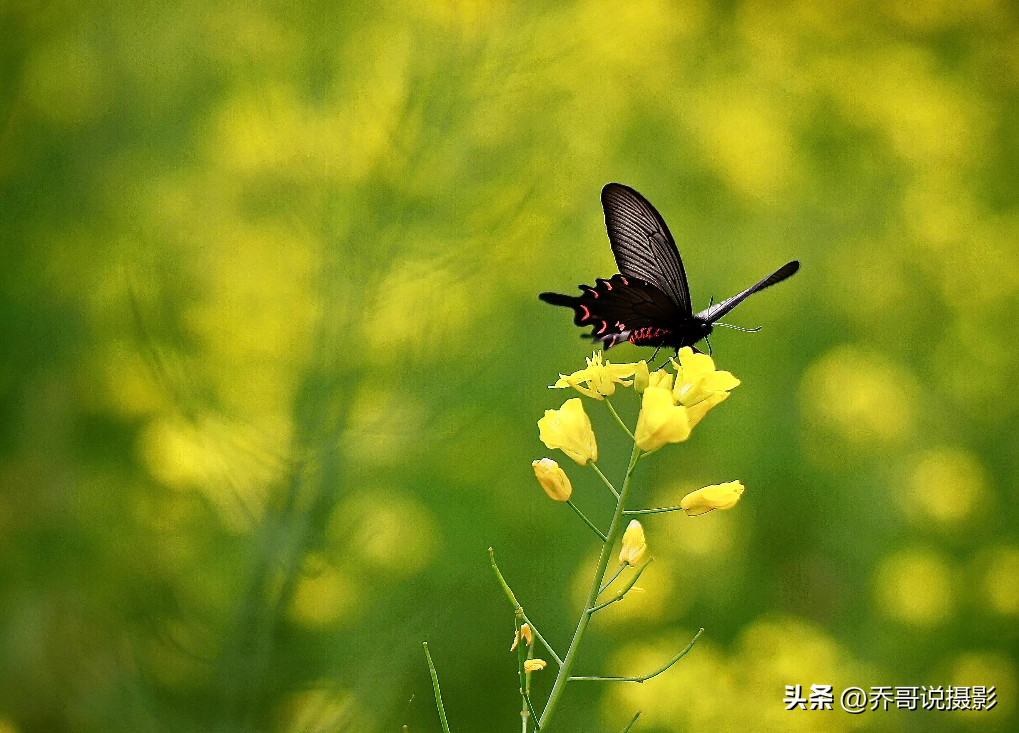 摄影重要还是后期重要,摄影和后期哪个重要