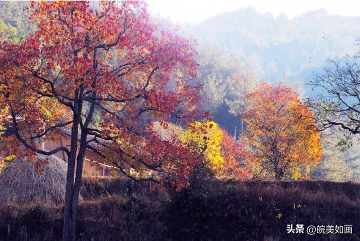 12月安徽值得旅游的地方,8月份适合旅游的安徽地方推荐