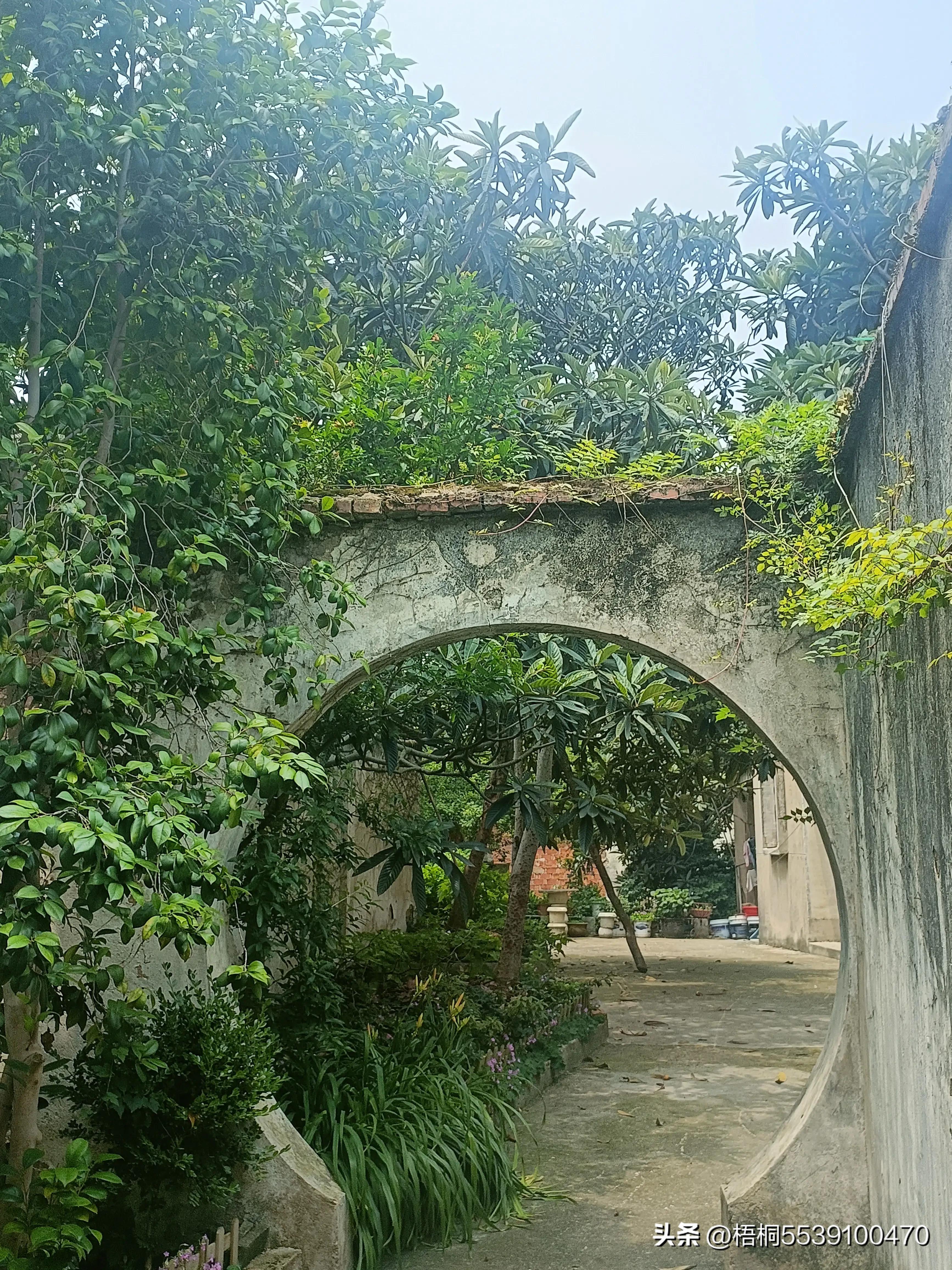 苏州洞庭西山有什么好玩的,苏州太湖东山还是西山好玩