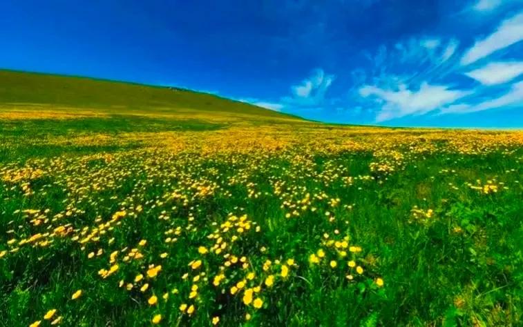 和大自然一起去旅行,和地理老师一起去旅行