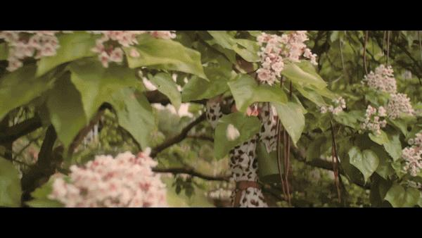 2022年值得入手的包,各位贵妇的包包