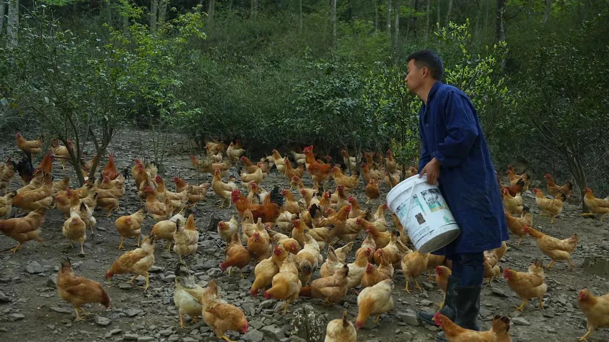 大家好,我是胡铭浩,来自安徽省旌德县白地镇,今年37岁,现在是一名返乡创业青年。