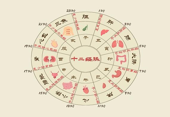备孕阳痿早泄吃什么药调理,30岁如何补肾补精备孕