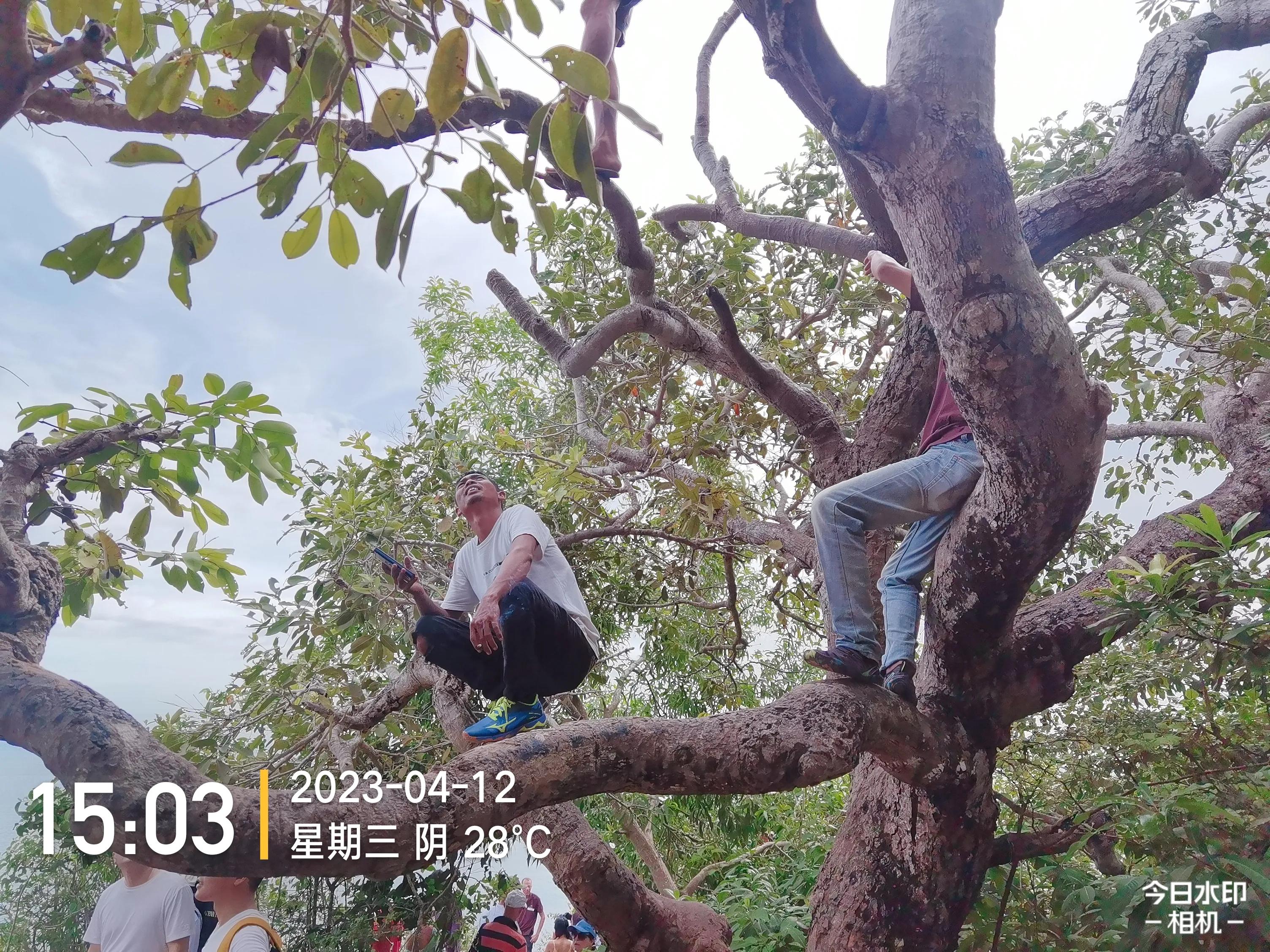 两游客巴厘岛命案最新消息,巴厘岛命案被5个人杀