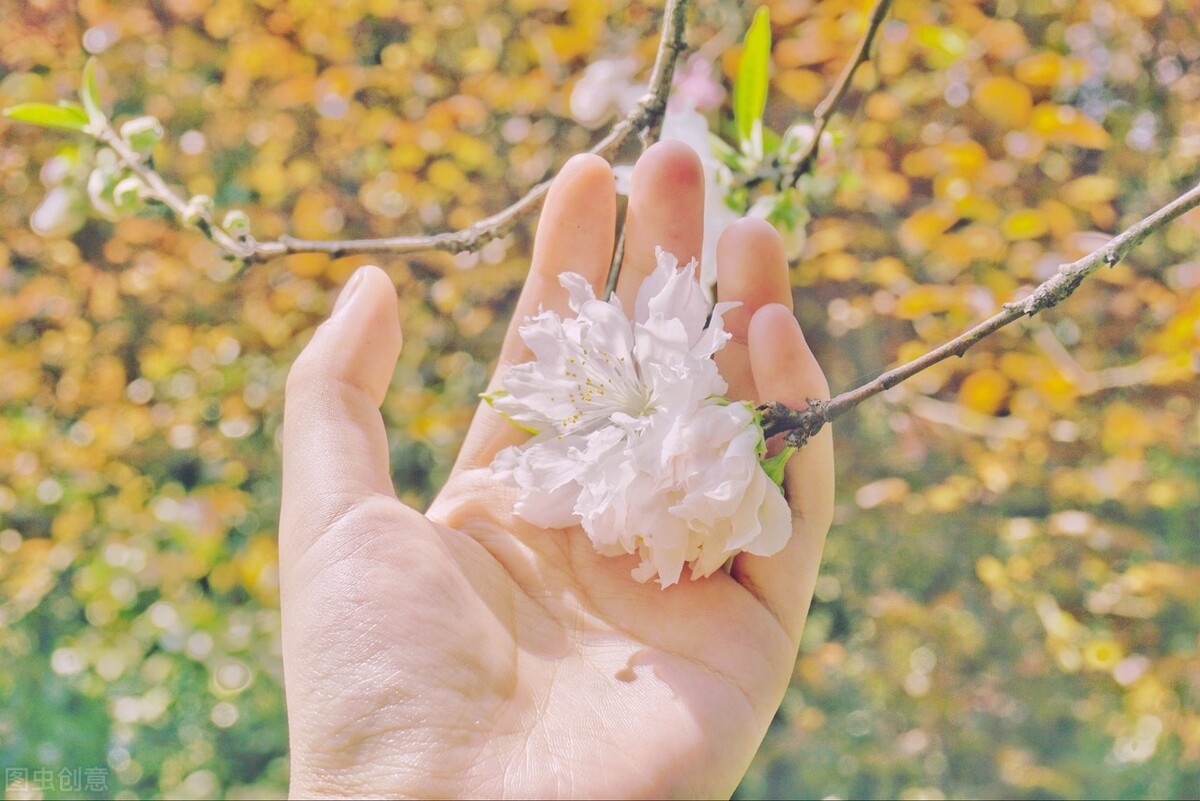 马斯克证明宇宙,马斯克宇宙观