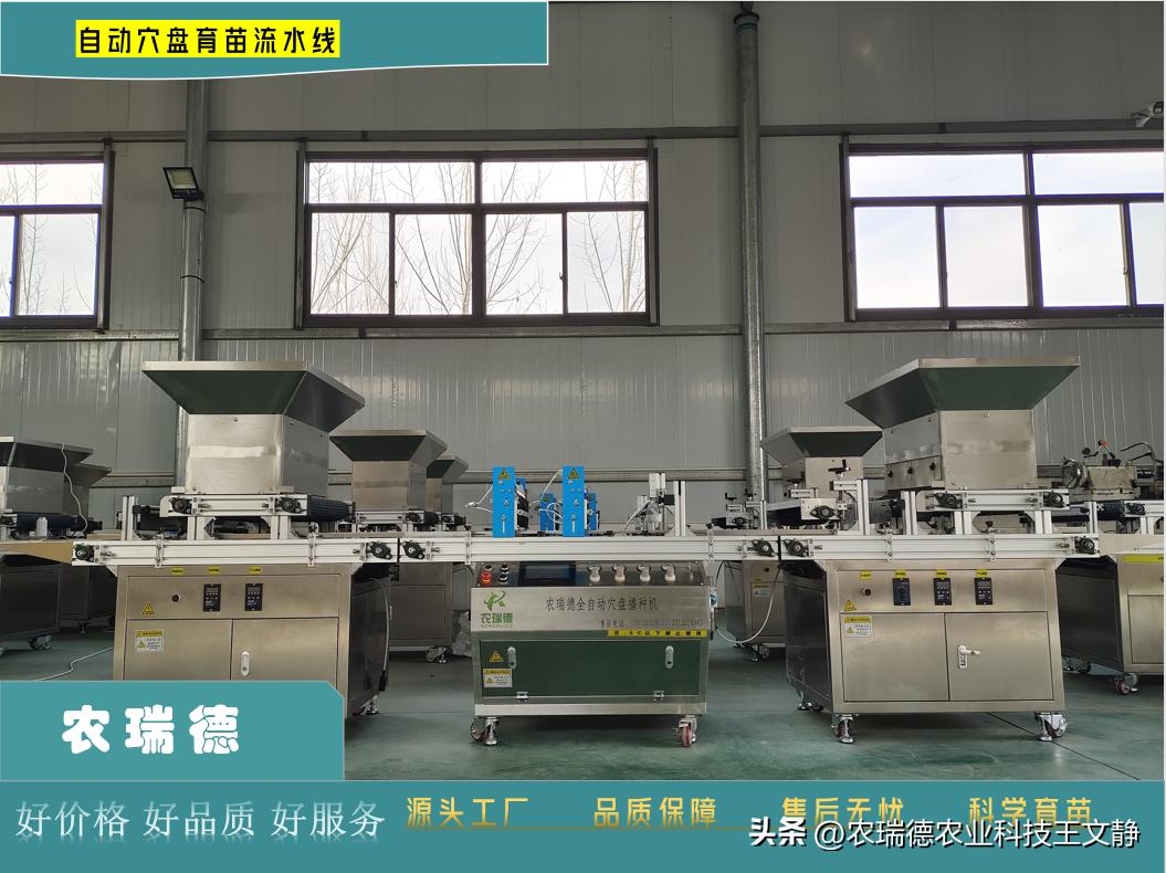 西兰花育苗用多大的穴盘,穴盘育苗点播机制作