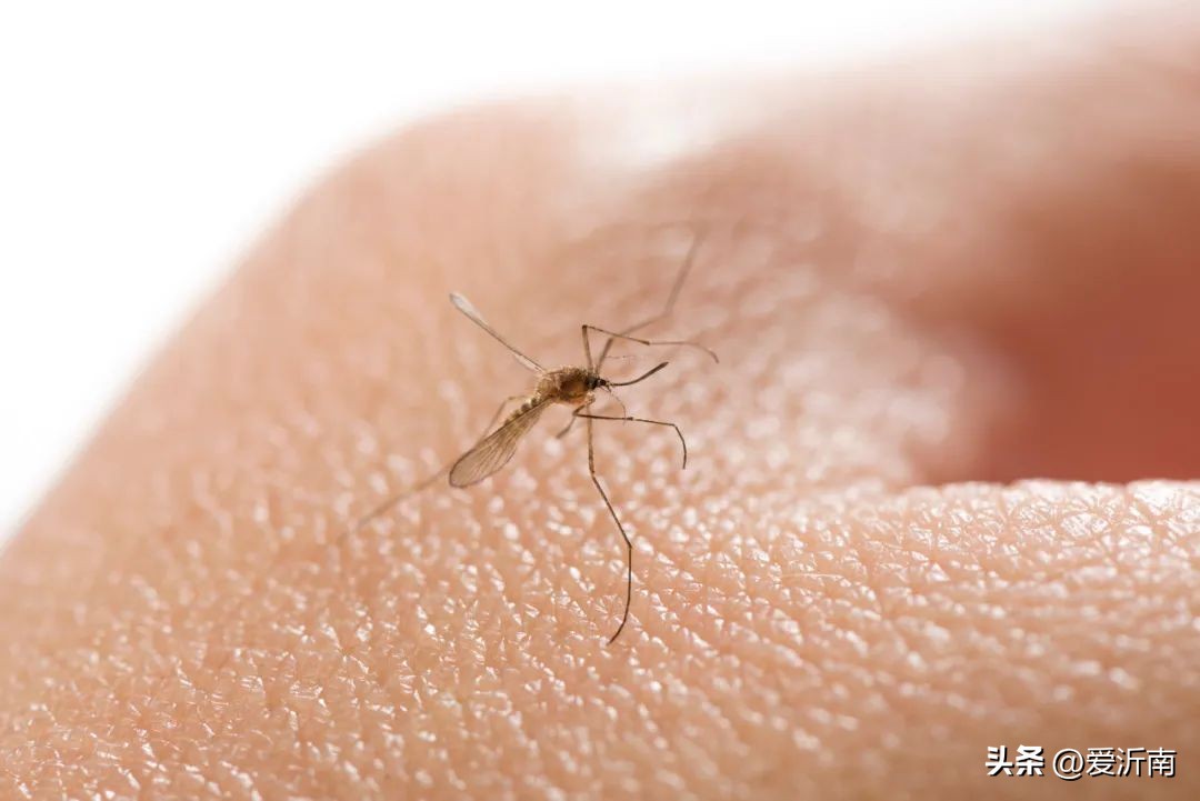 身上突然痒是蚊子吗,身上无缘无故的痒到处长蚊子大包