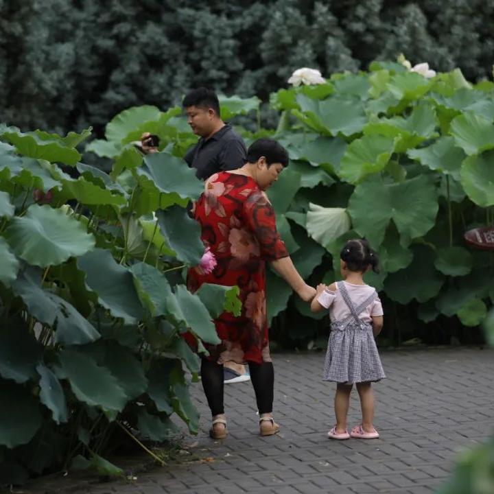 荷你有约环创,荷你有约完整视频