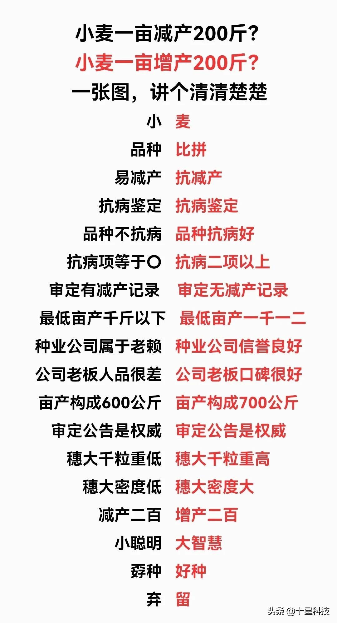 买小麦种子千万注意看清包装,买小麦种子千万不要碰这五个坑