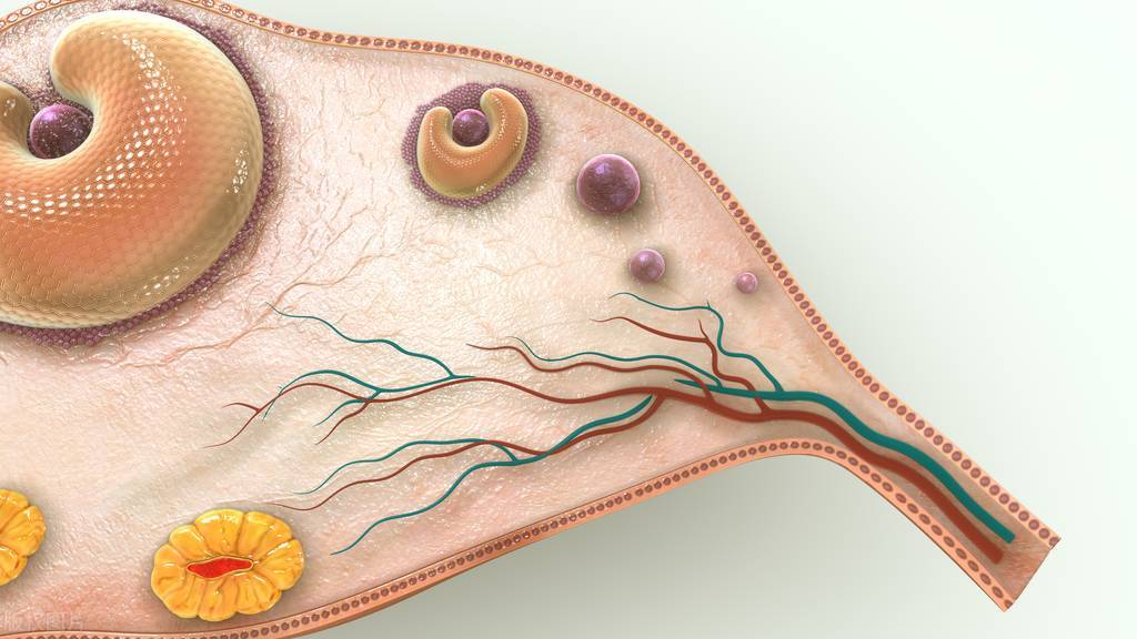 排卵困难有什么办法解决,排卵困难怎样帮助卵子排出