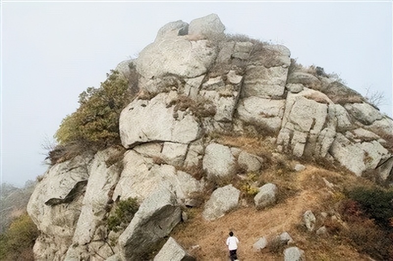 福建海边出现神秘金片，遭渔民哄抢一空，专家调查后：金片不简单