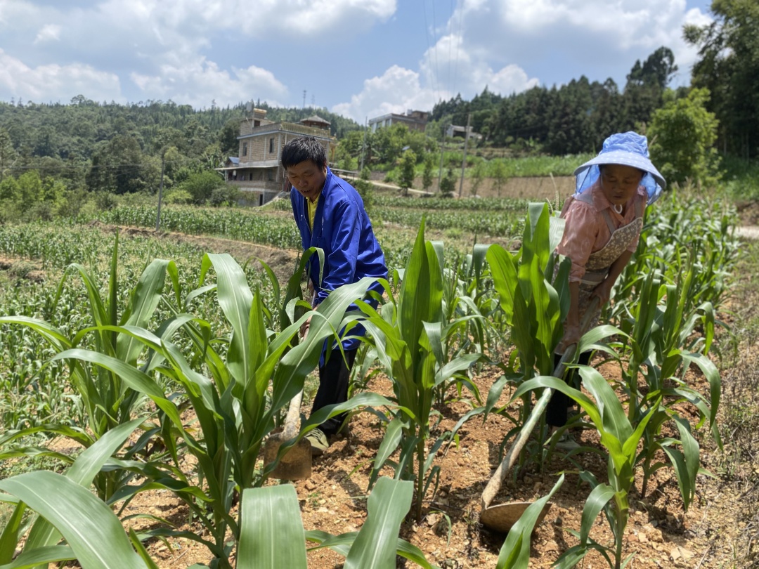 “养殖能手”汤安友：用勤劳的双手编织幸福人生