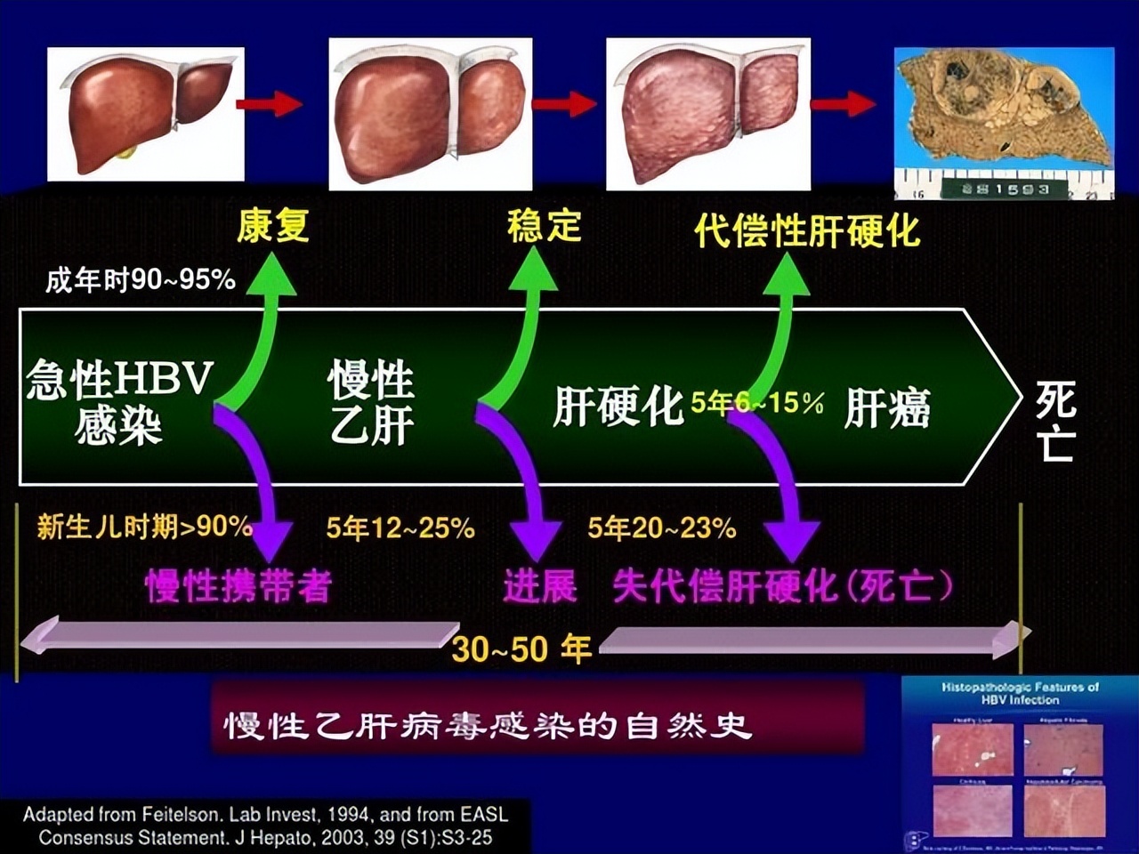 有乙肝病毒的人可以吃羊肉吗,乙肝吃羊肉的禁忌