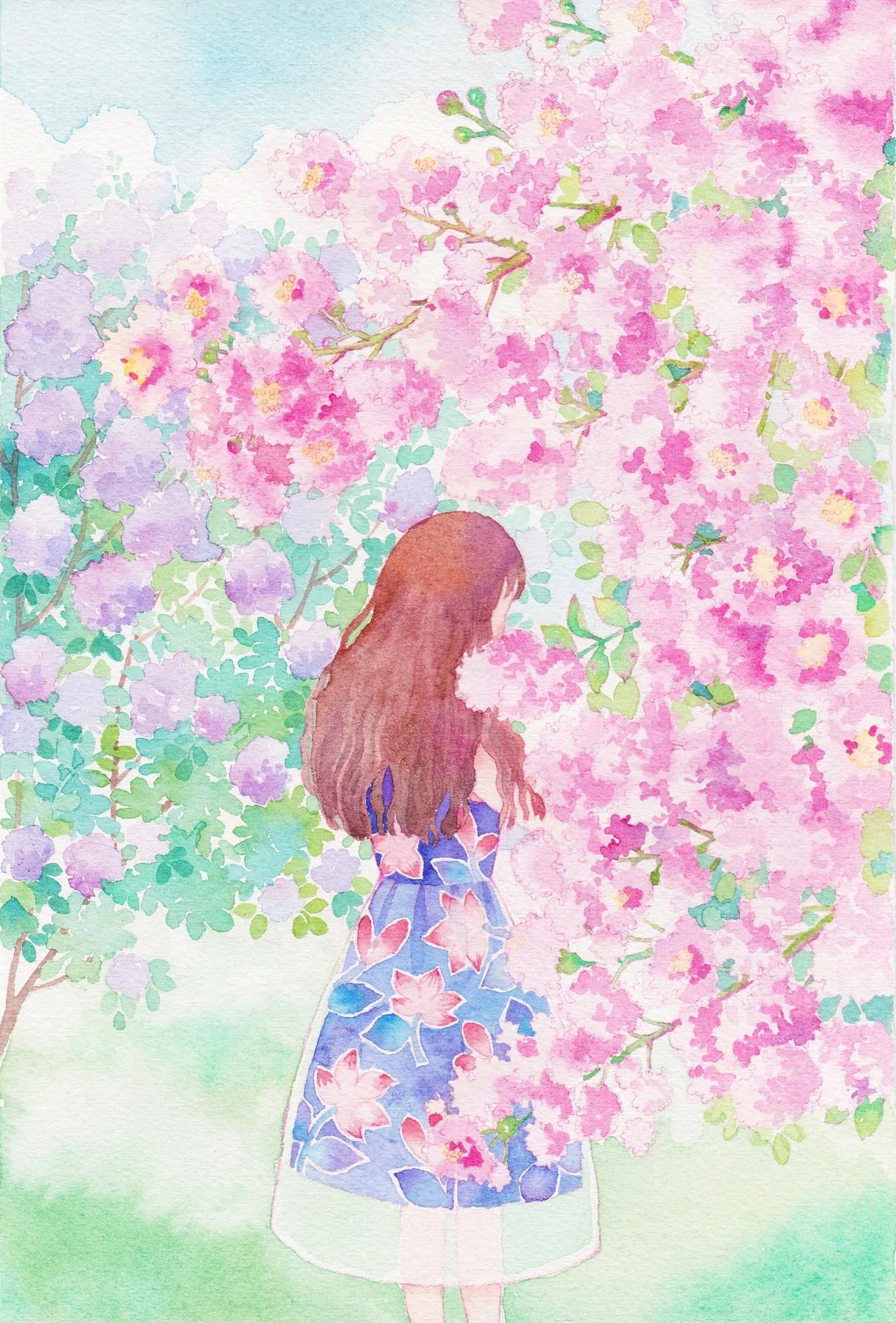 紫薇花壁纸高清全屏,唯美紫壁纸