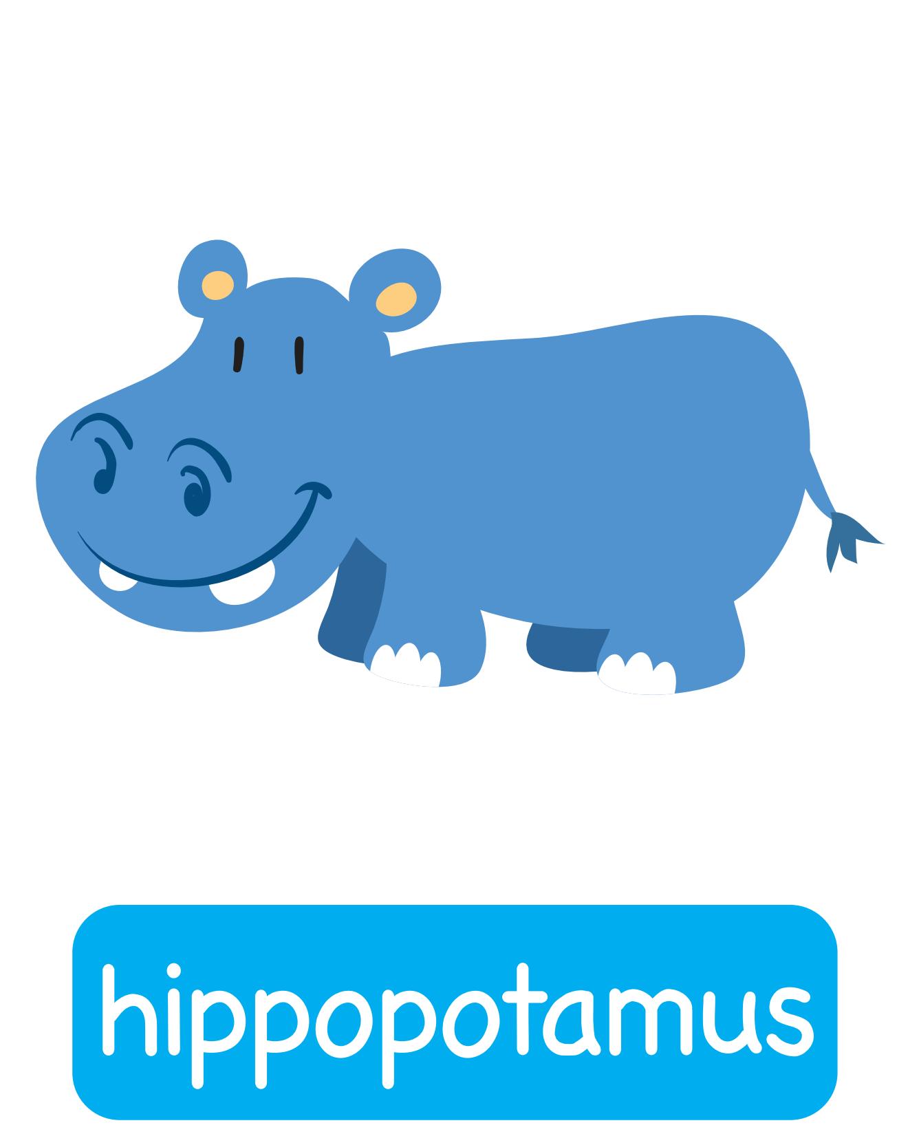 图说英语单词：高清动物类卡片，一图一单词