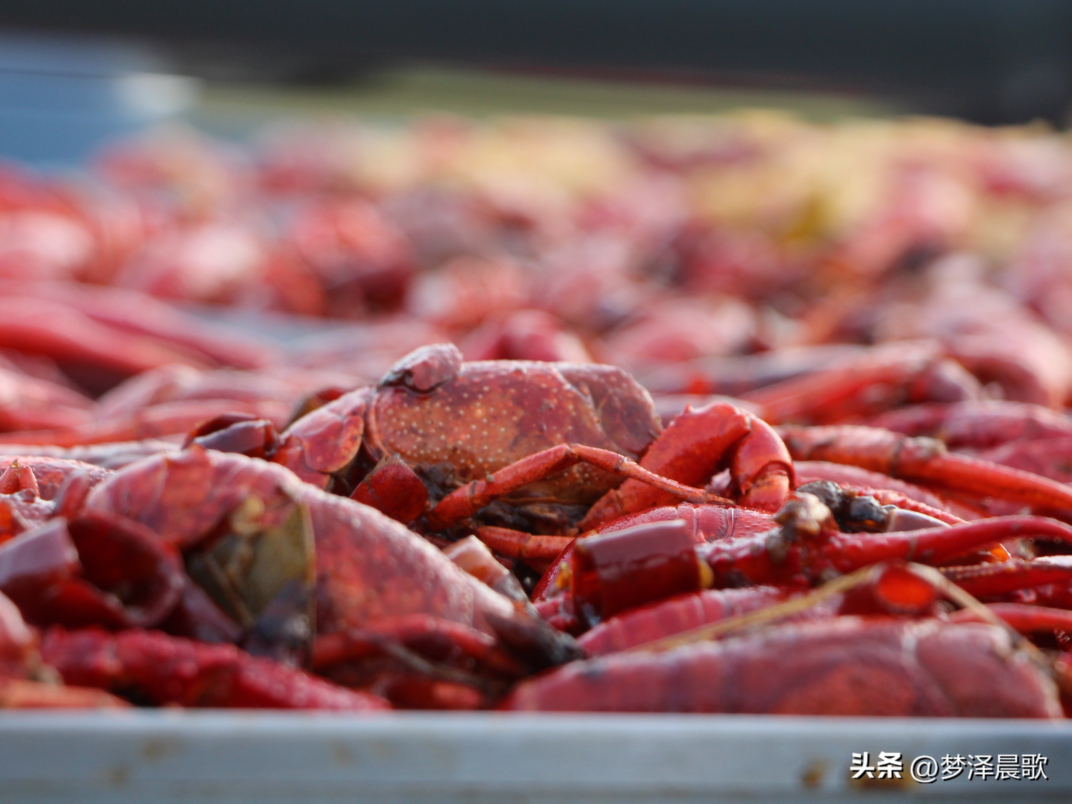 节日哪里去？醉美“伍湖四海”游人醉