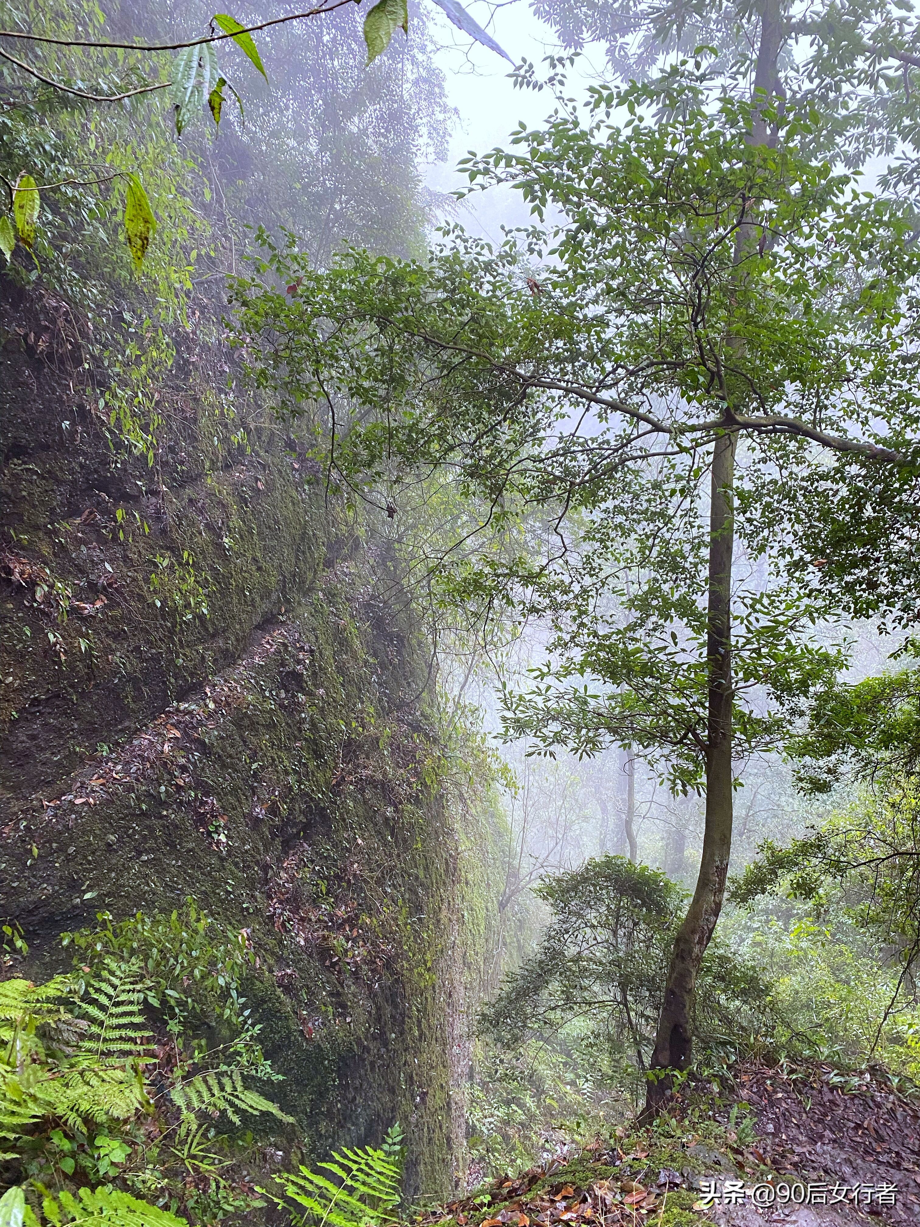 下雨天去拜访师傅合适吗,雨天去青城山