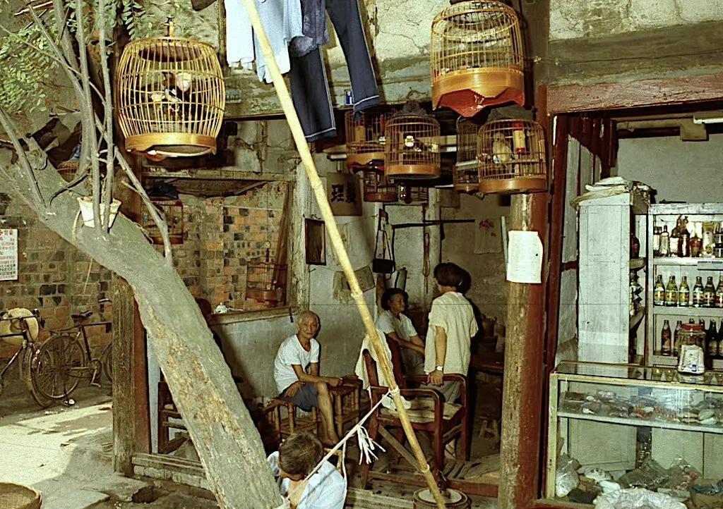 100张日军老照片,30张历史罕见的老照片