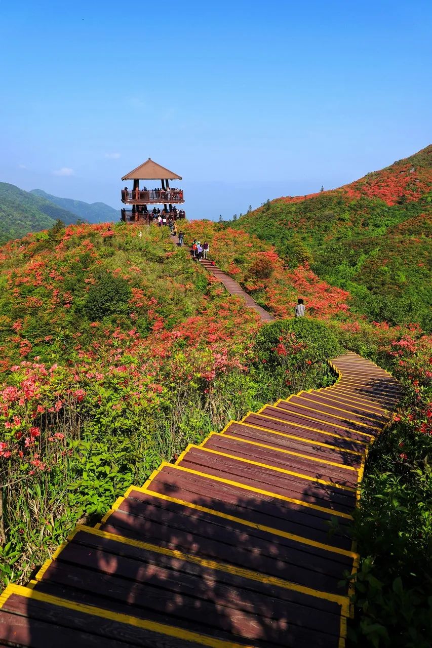 中国最浪漫的旅游城市,长沙为什么是最浪漫的城市