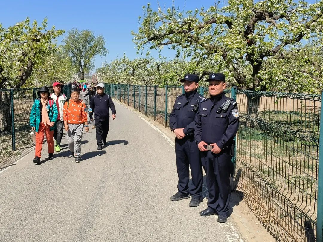 警花表白同为民警的新郎,警花燕子电影完整版