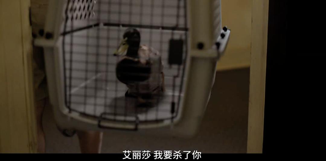 招黑网红现状,被黑最惨的网红