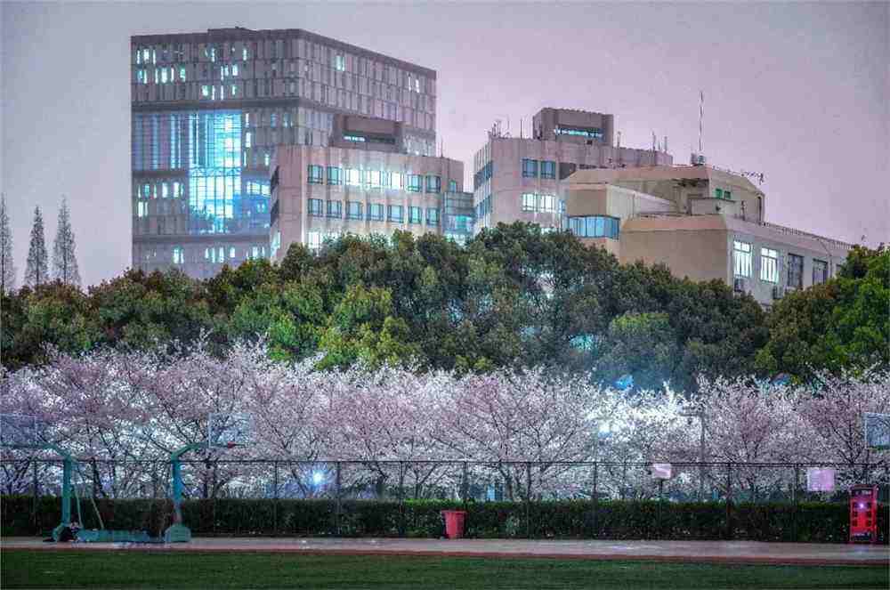 考得好，更要报得好！同济大学招生“断档”严重，位次直降4万