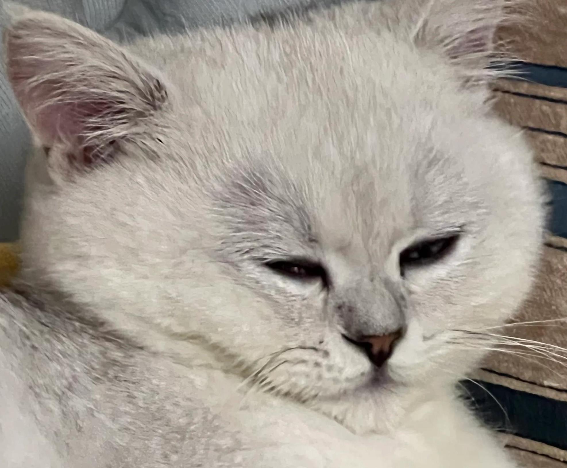 12345怎么投诉医院强制住院的问题,医院强制住院