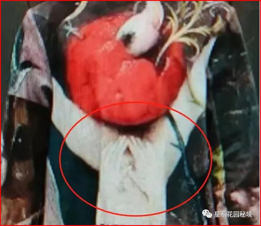 比人教版插图更恐怖的书,比人教版插图还怪异的书