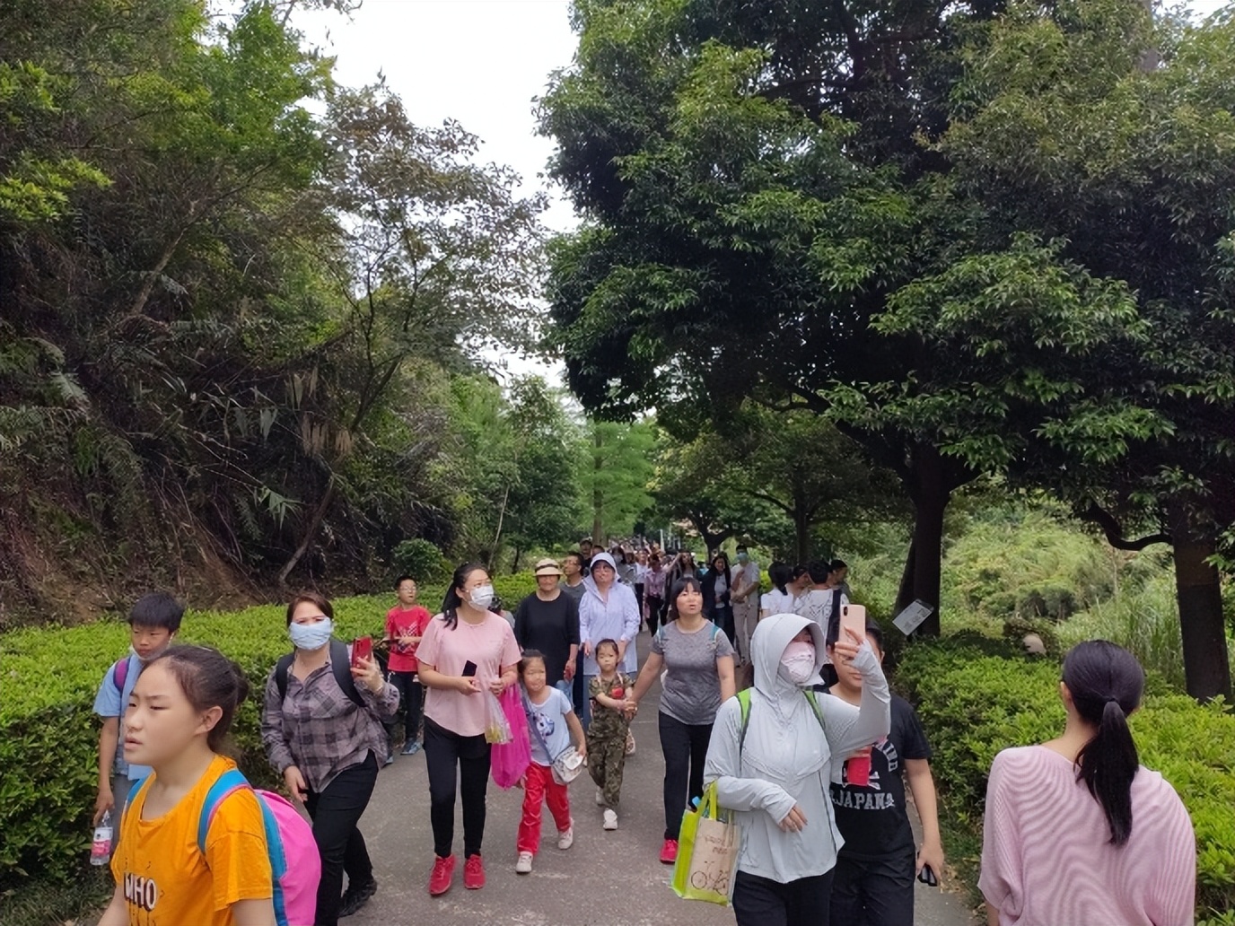 这个五一到底有多火,这个五一2.74亿人次出游