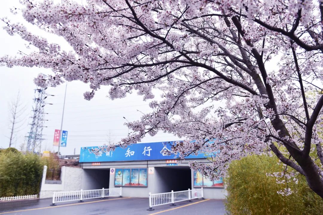 青岛黄海学院招聘信息,青岛黄海学院高层次人才招聘