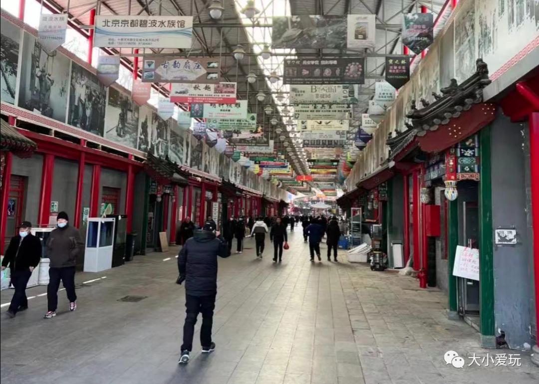 北京最美的花鸟市场,北京值得逛的花鸟市场