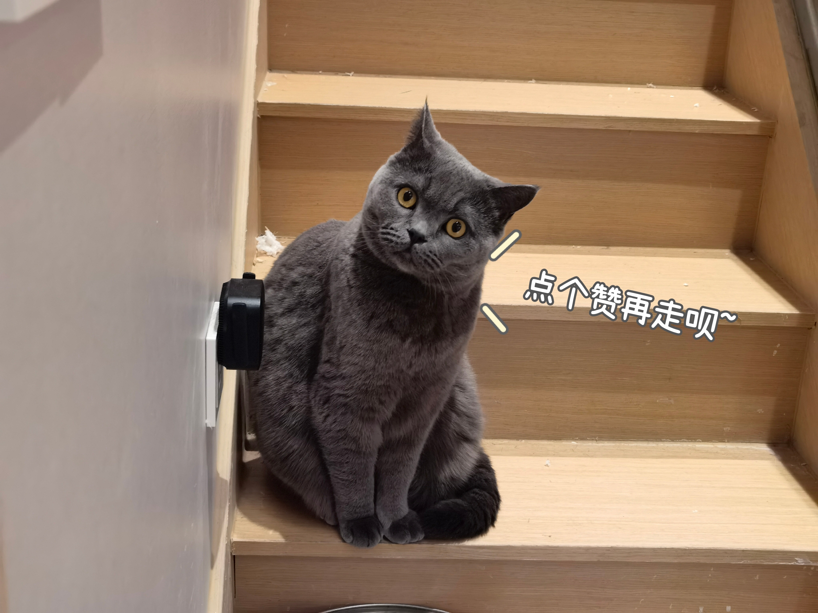 群晖云盘备份是双向的吗,群晖最好用的备份