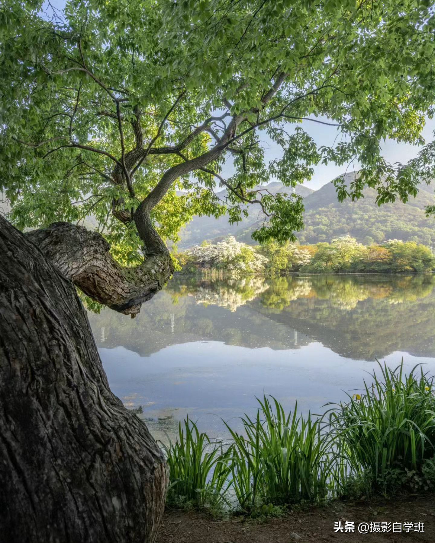 夏天怎么拍照更有夏天感觉,如何拍好夏天的照片