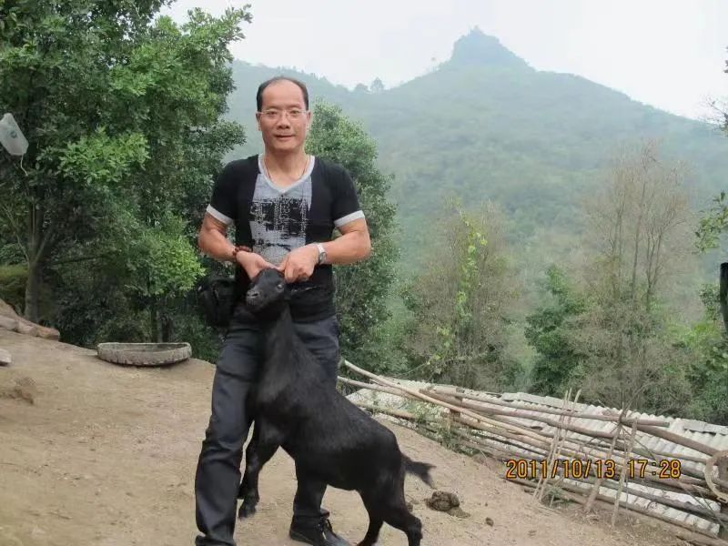 粤菜大厨卢镜泉,广州名厨卢镜泉