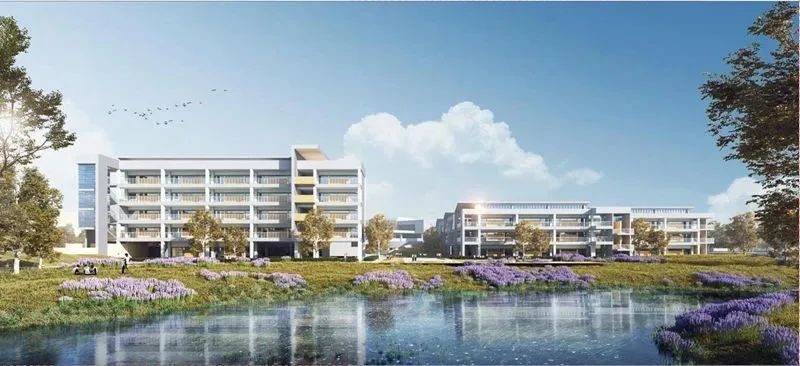 荆州这所学校预计今年秋季投入使用