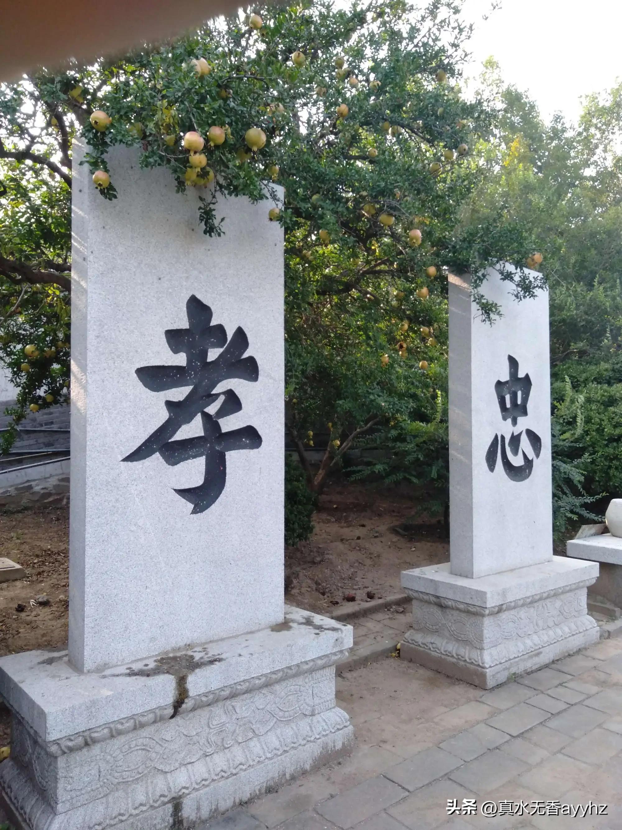 观海听涛见贤思齐,观海听涛赏明月