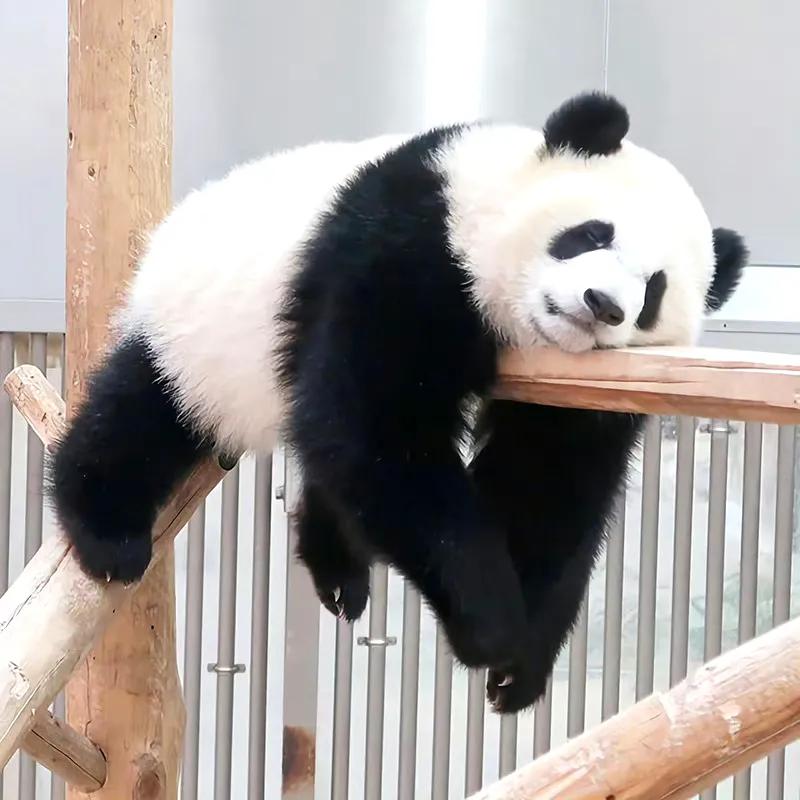 简约清新朋友圈背景图,简约风格朋友圈背景图