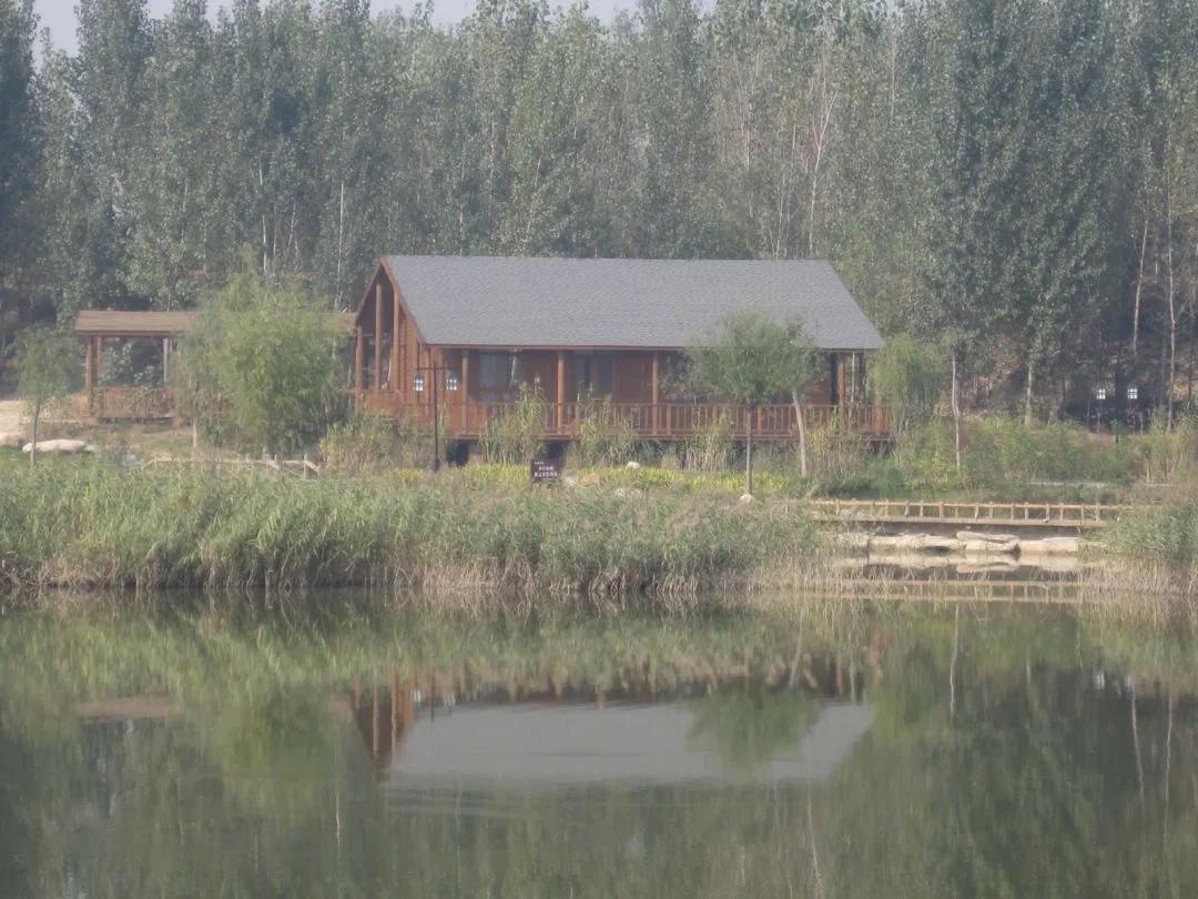 德州减河湿地公园一日游攻略,德州减河湿地公园游览记