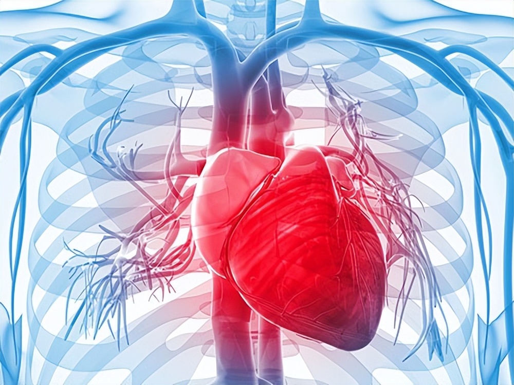 男性的哪些行为有损健康,男性的4大必备药物