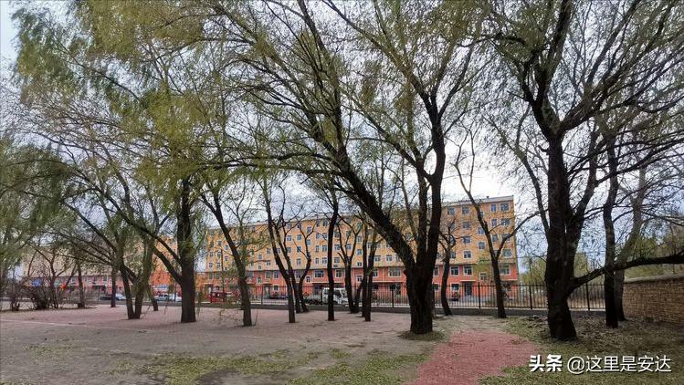 安达一中老校区全图,安达市第一中学校地址