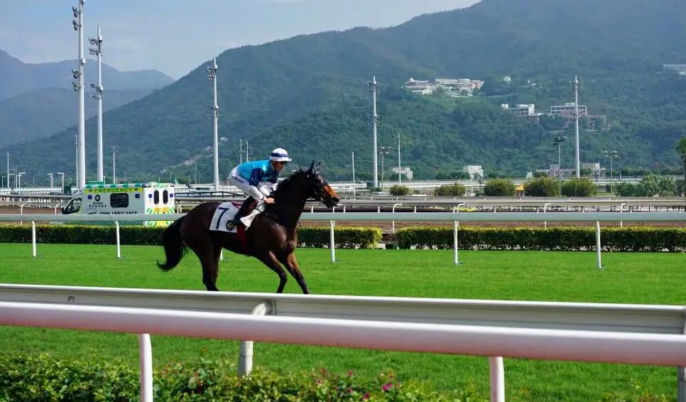 蔡澜讲笑话老板的故事 (蔡澜讲笑话样本)