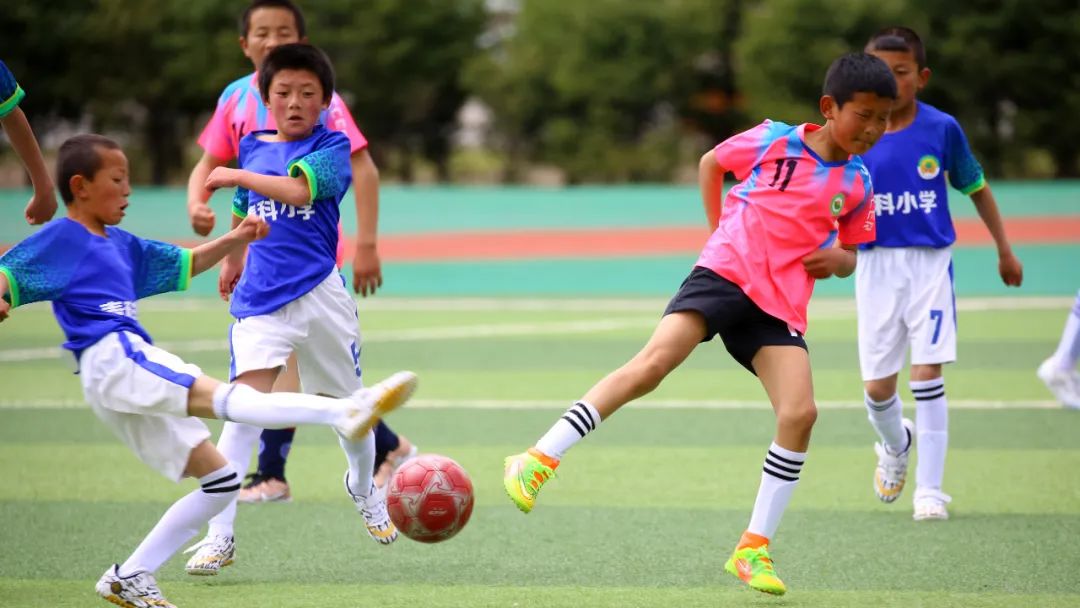 少年足球现场,少年足球队在线播放