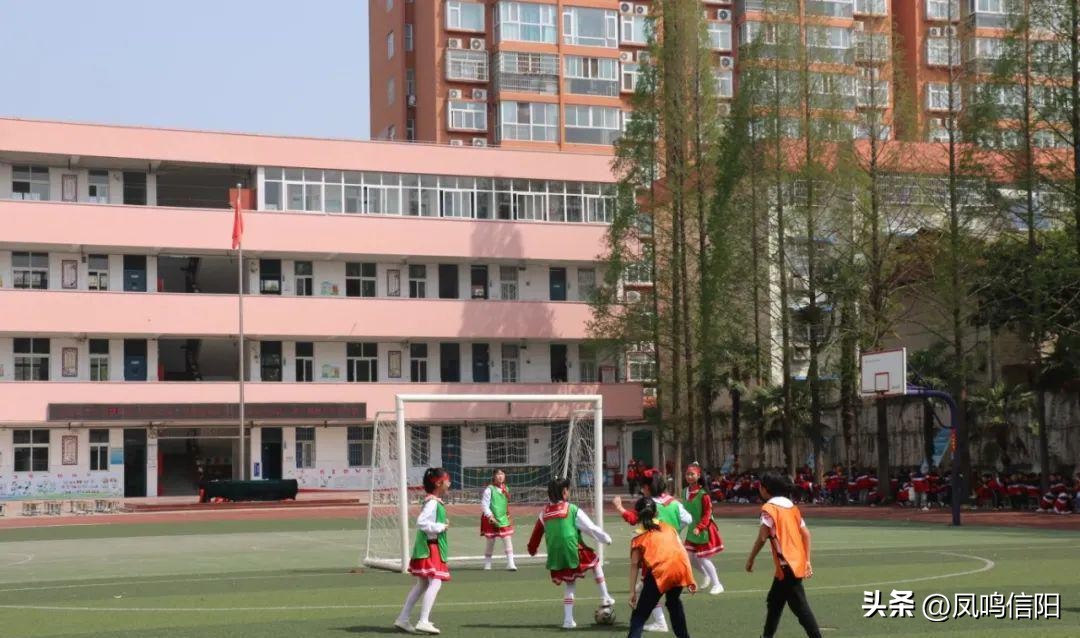 羊山新区第五小学冬季运动会直播,羊山新区第五小学怎么样