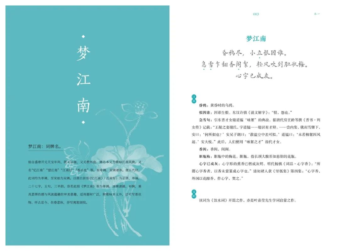 叶嘉莹吟诵纳兰词视频,叶嘉莹诵读纳兰词是啥样的